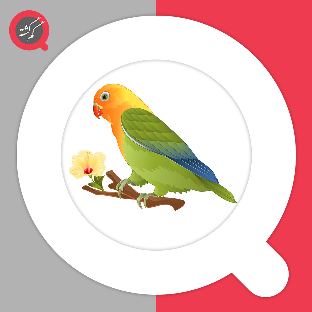 کوتوله برزیلی دستی